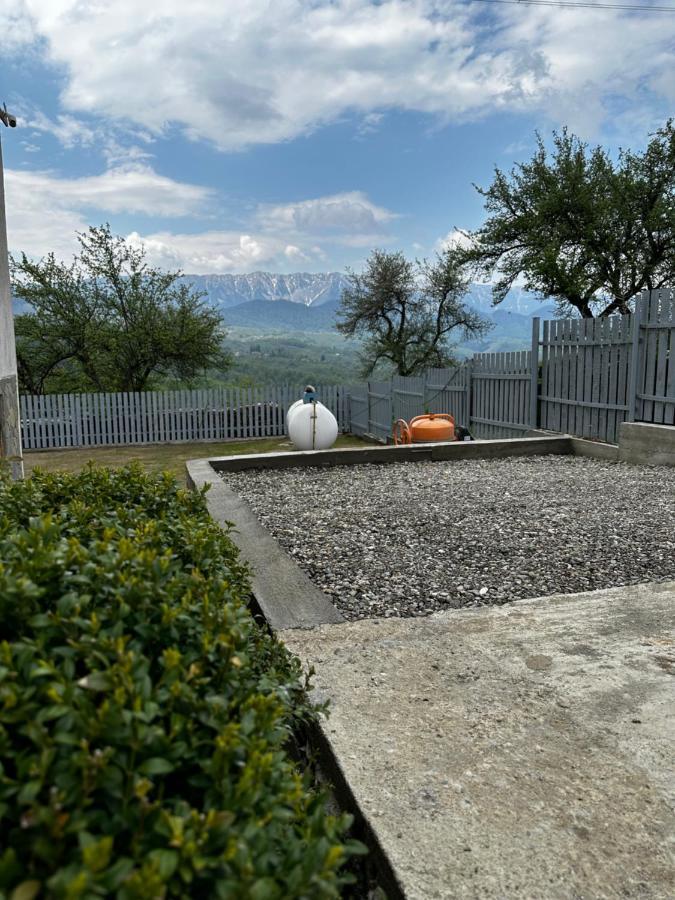Prater House Mountain View Villa Moieciu de Jos Eksteriør billede