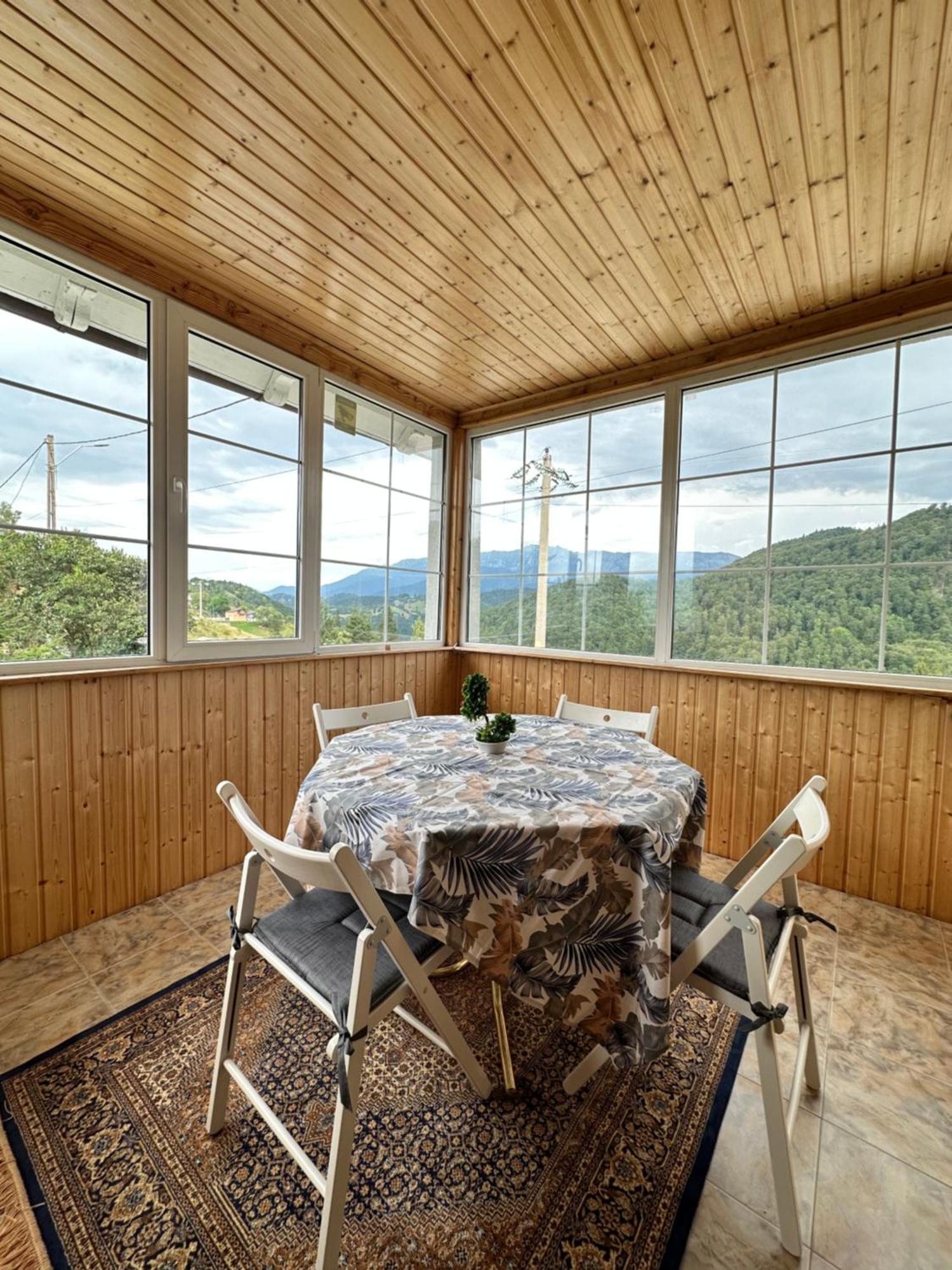 Prater House Mountain View Villa Moieciu de Jos Eksteriør billede